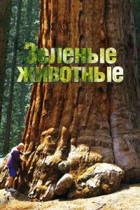  Зелёные животные 